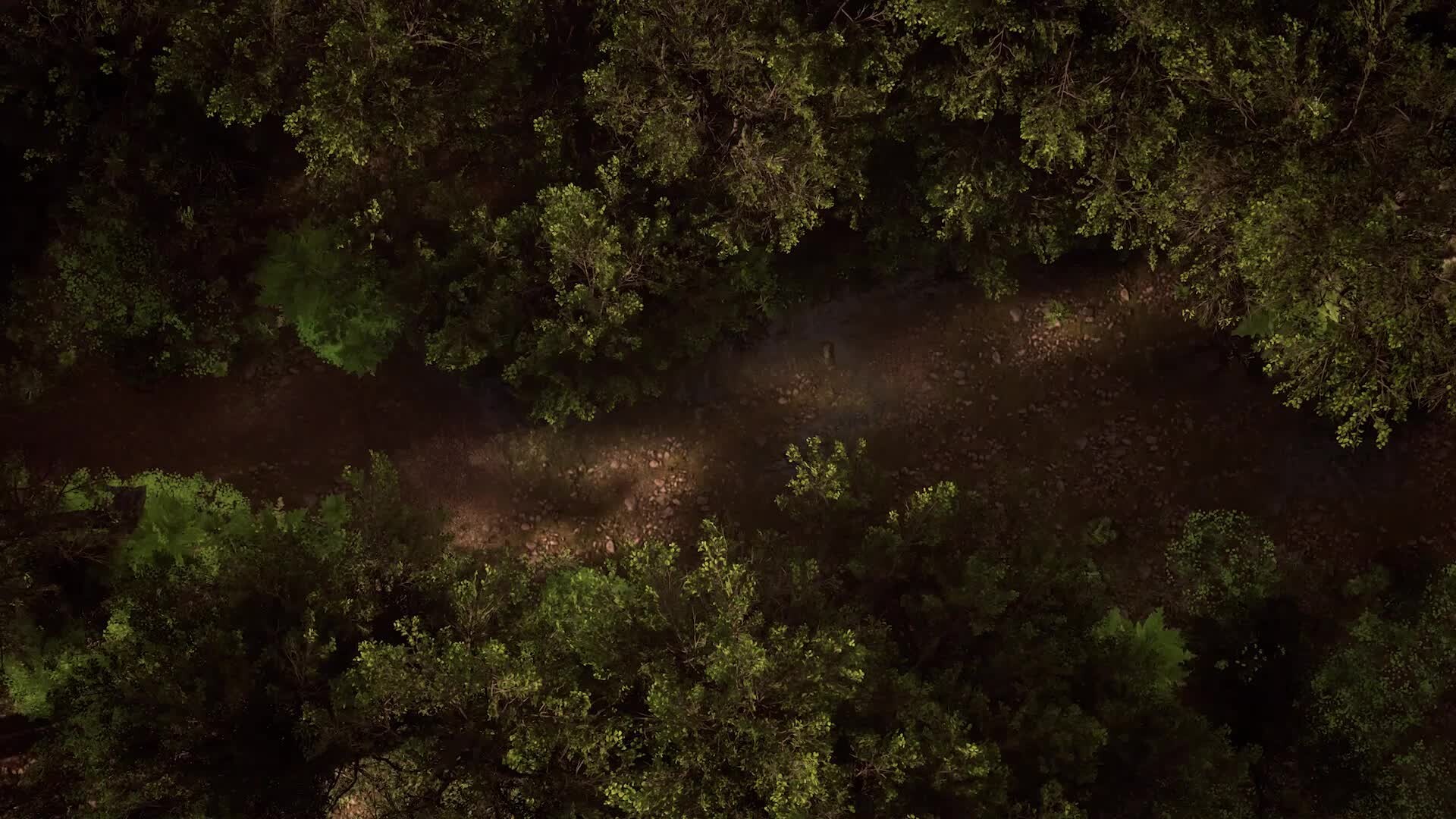 Deep Forest, 3D Environments by Fabricio Velasquez in Unreal Engine 5